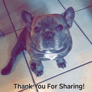 All Month selected items marked  2/$15 or 2/$18 Bundle & Save✨️